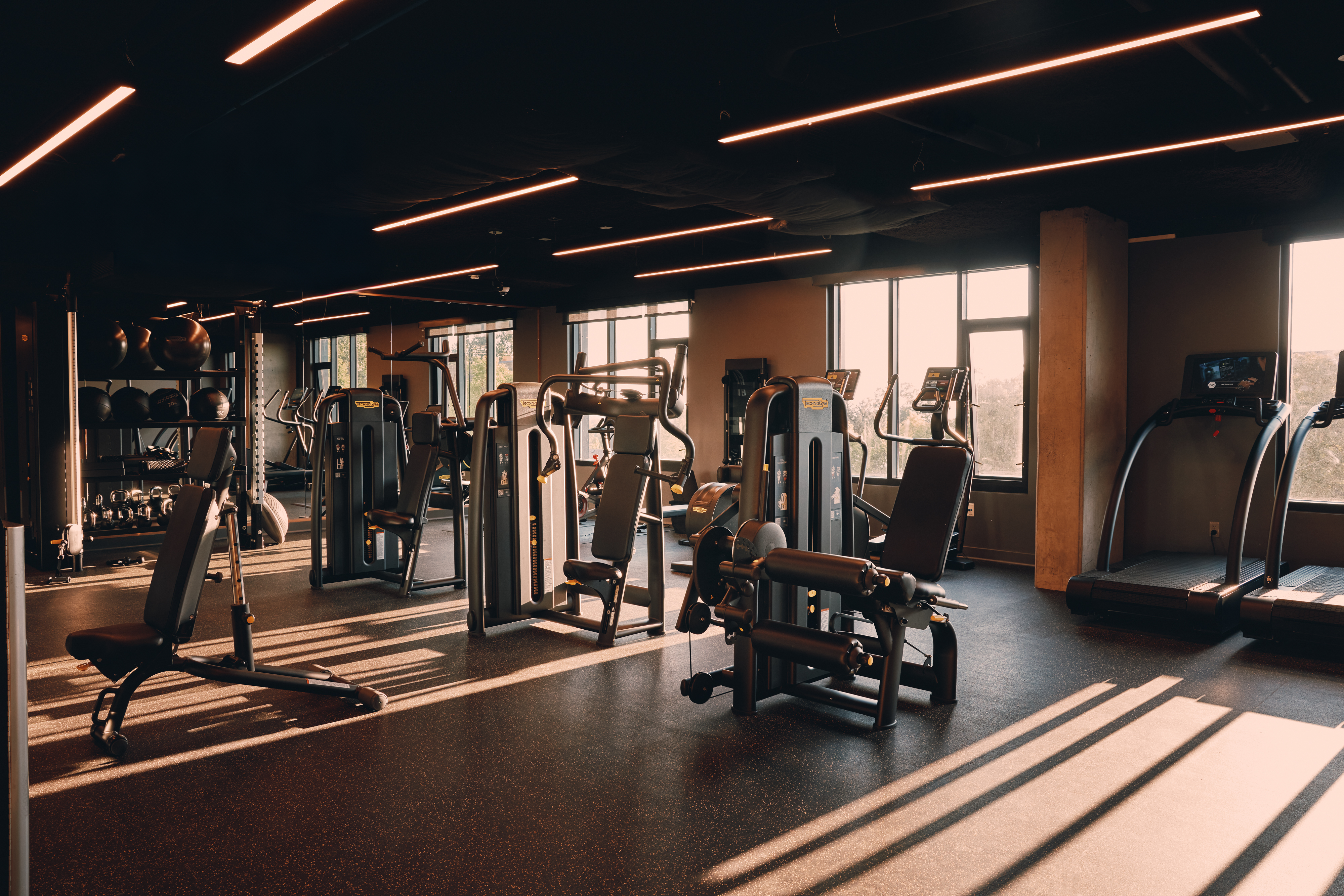 Gym